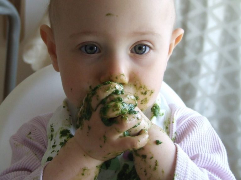 alimentacao infantil comida para todos