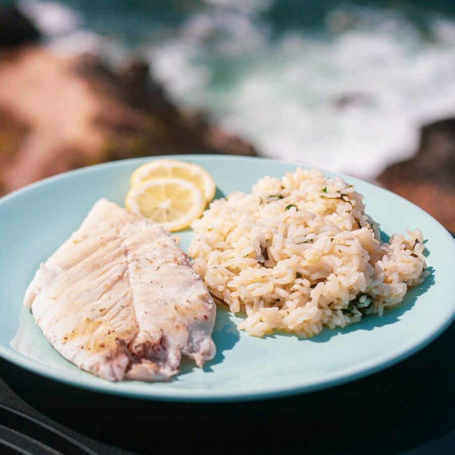 peixe galo com arroz de coentros