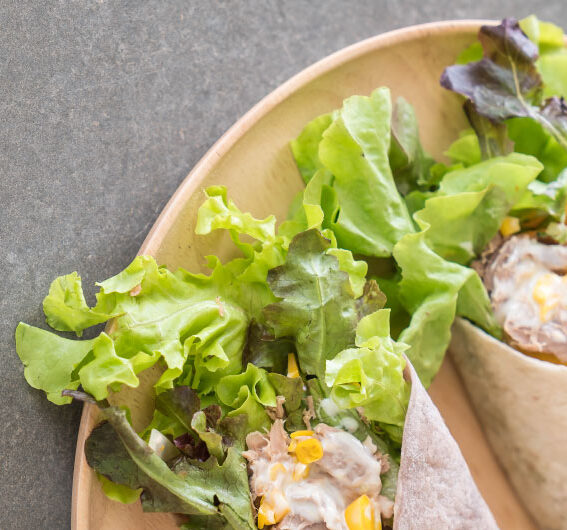 wrap de atum com hummus
