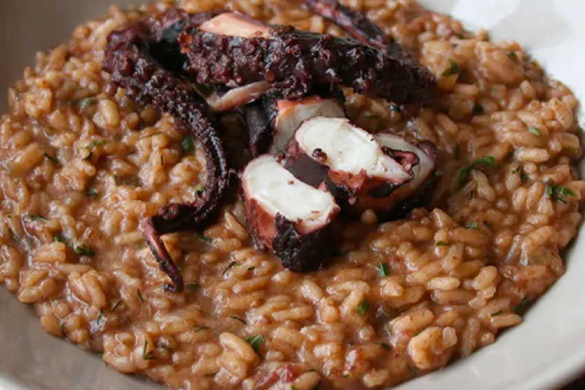 risotto de polvo
