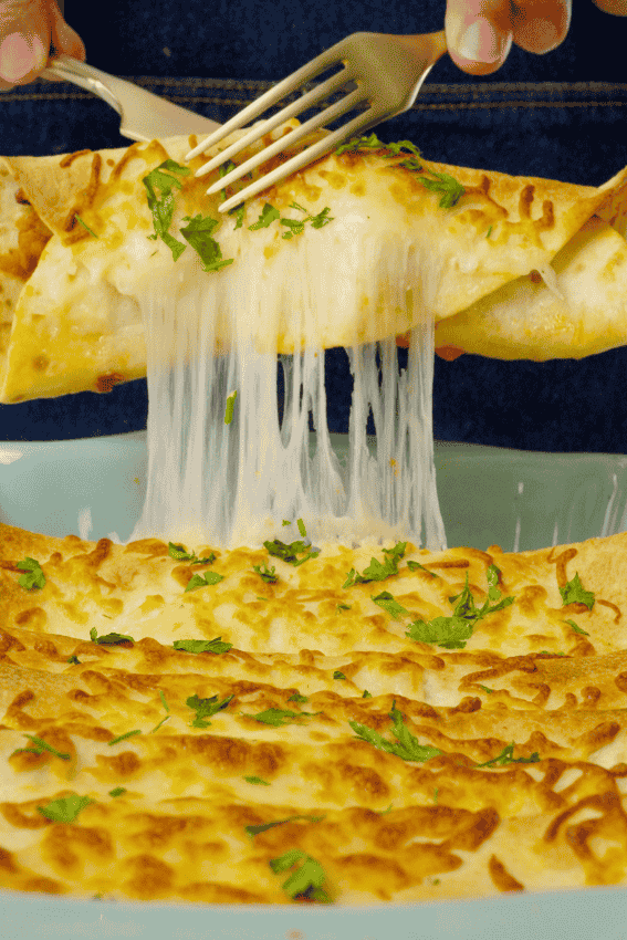 enchiladas de carne na air fryer