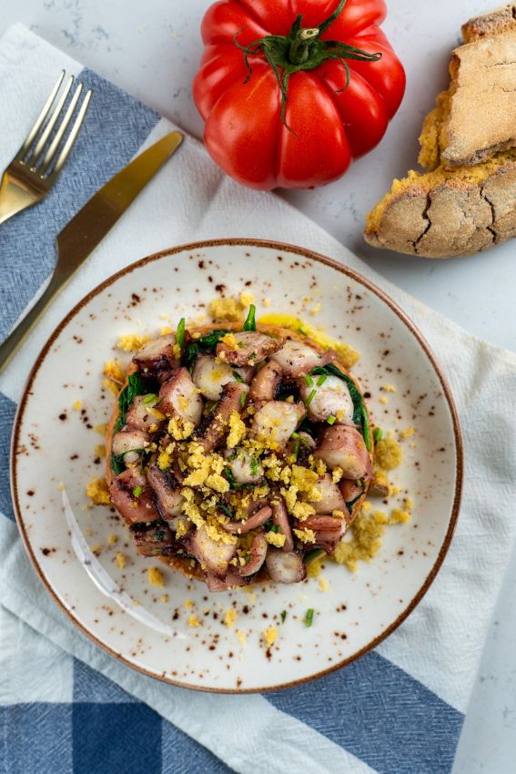 Timbale de polvo com migas de aveia e tomate: tradição reinventada no prato!