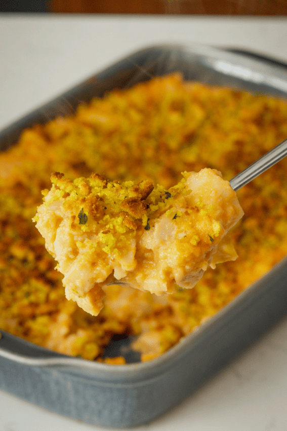 bacalhau abade de priscos